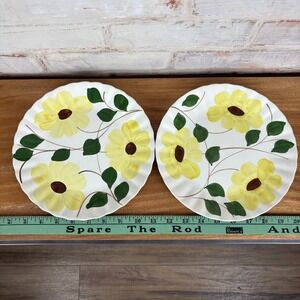 Set of 2 Vintage Blue Ridge Southern Potteries Hand Painted Yellow Floral Plates